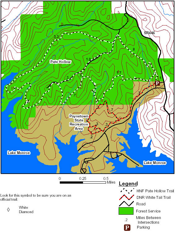 basic topographic map of Pate Hollow Trail