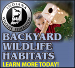 Learn about Backyard Wildlife Habitats